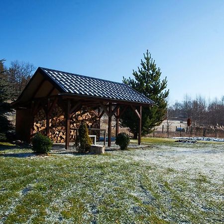 Apartamenty Kalinowa Z Widokiem Na Gory イェレニャ・グーラ エクステリア 写真